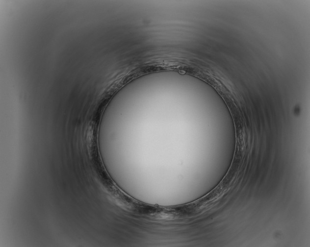 X0000098040412200803280759