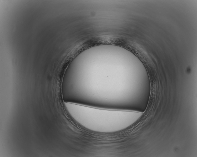 X0000098040413200803280759