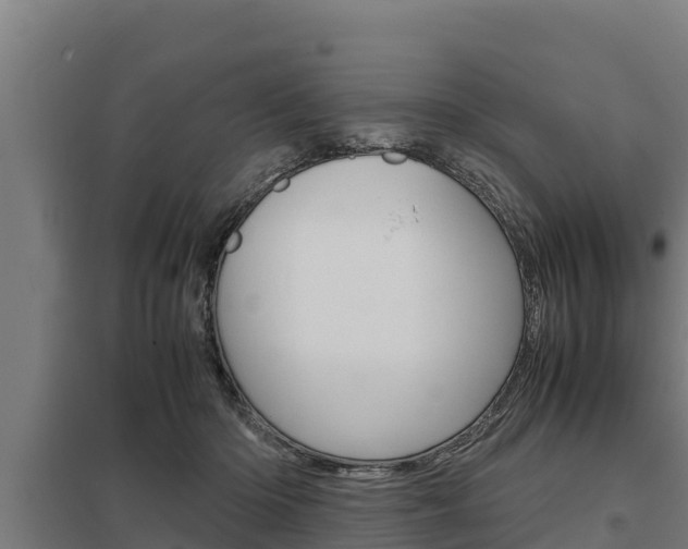 X0000098040414200803280759