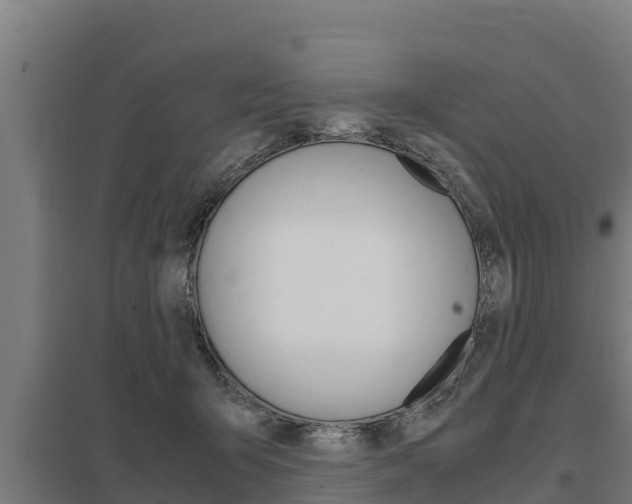X0000098040415200803280759