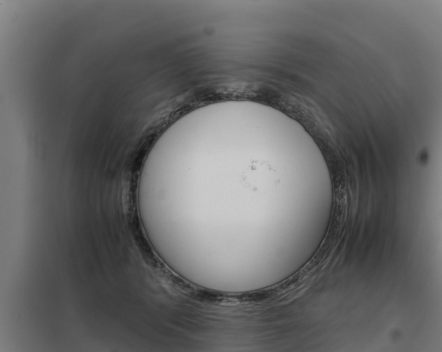 X0000098040416200803280759