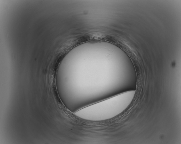 X0000098040417200803280759