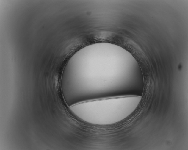 X0000098040420200803280758