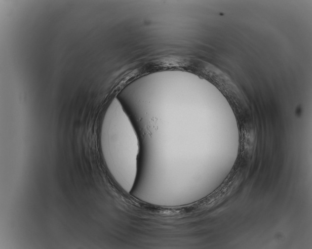 X0000098040422200803280758