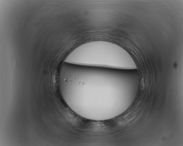 X0000098040424200803280758