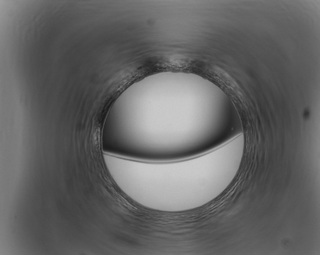 X0000098040425200803280758
