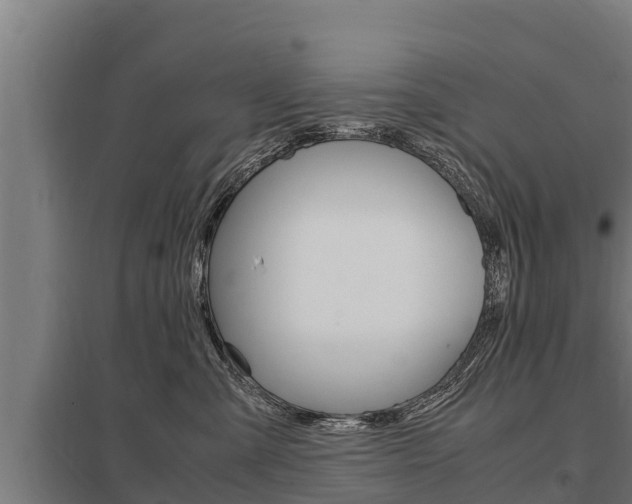 X0000098040427200803280758