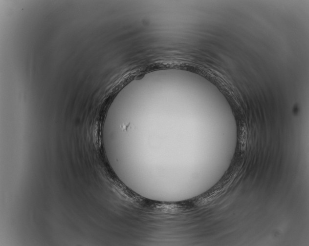 X0000098040428200803280758
