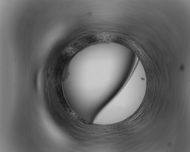 X0000098040429200803280758
