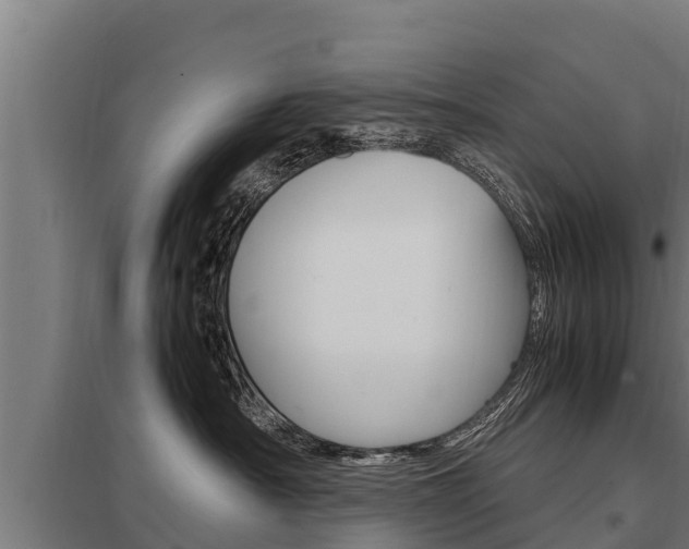 X0000098040430200803280758
