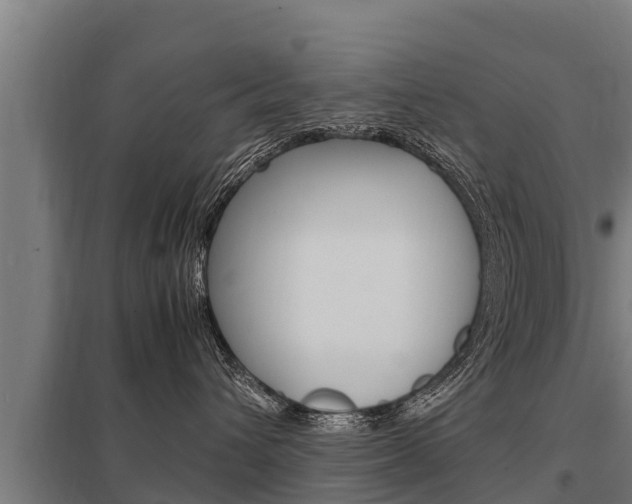 X0000098040432200803280758