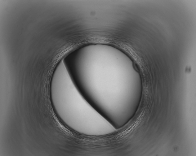 X0000098040433200803280757