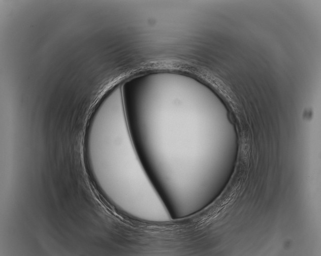 X0000098040434200803280757