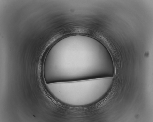 X0000098040435200803280758