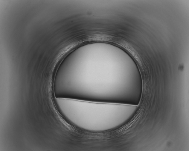 X0000098040437200803280758