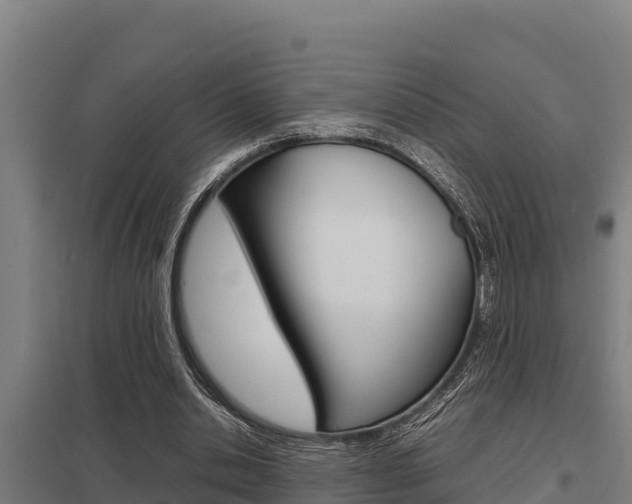 X0000098040438200803280758