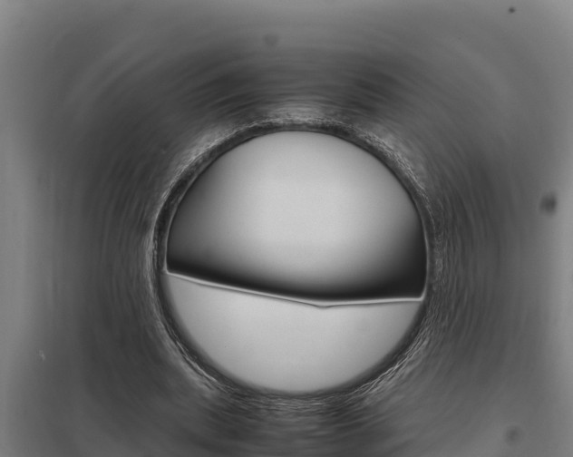 X0000098040439200803280758