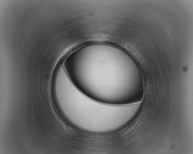 X0000098040440200803280758