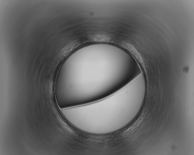 X0000098040441200803280758