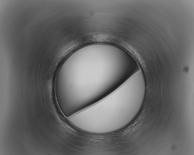 X0000098040442200803280758
