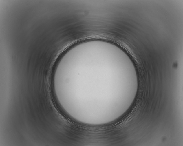 X0000098040444200803280758