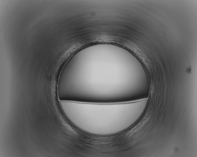 X0000098040445200803280758