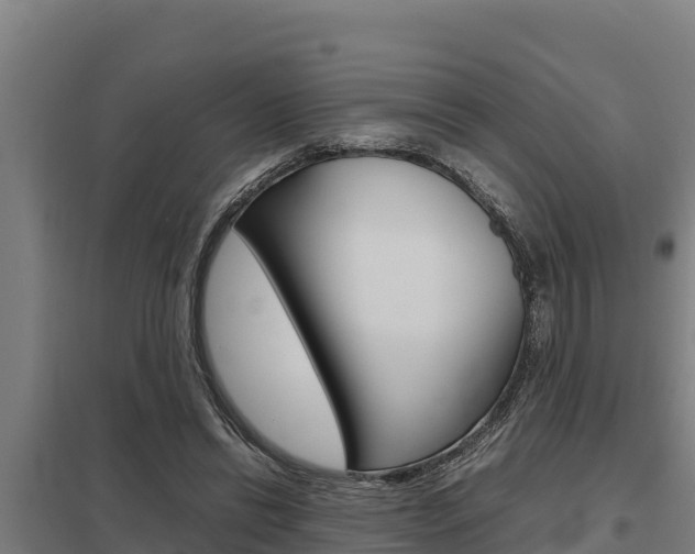 X0000098040446200803280758