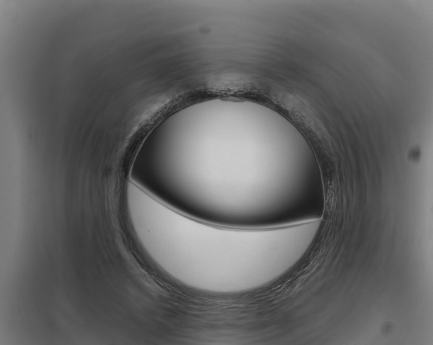 X0000098040448200803280758