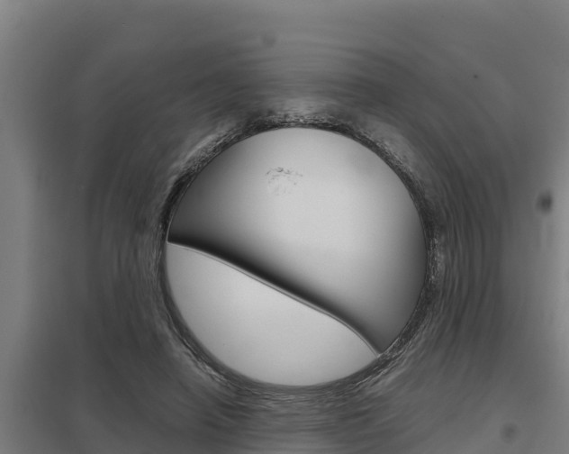 X0000098040450200803280758