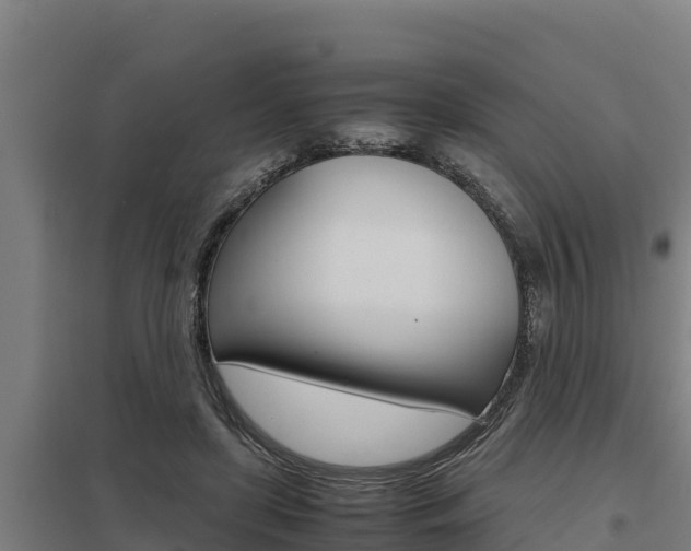X0000098040451200803280758