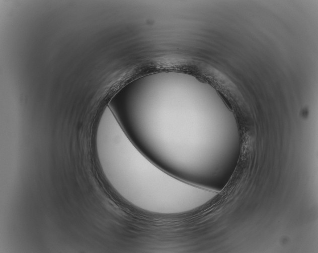 X0000098040452200803280758