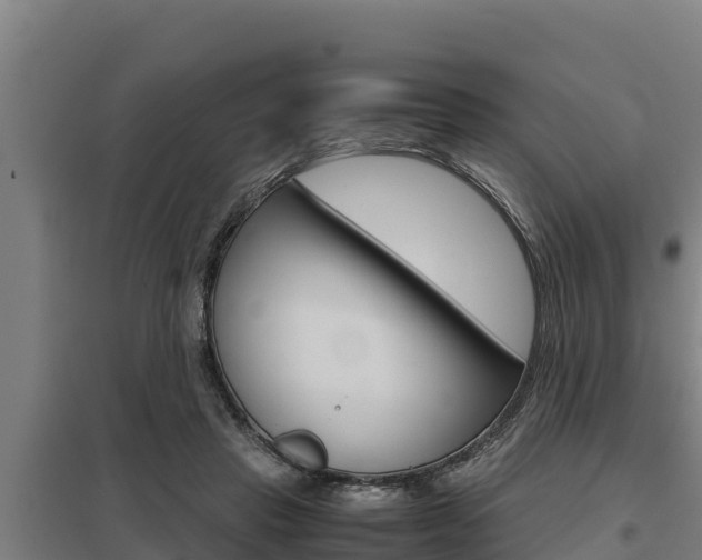X0000098040453200803280758