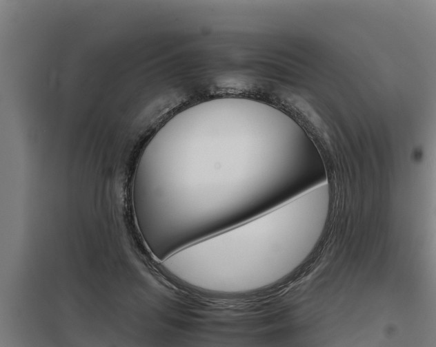 X0000098040455200803280758