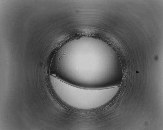 X0000098040456200803280758