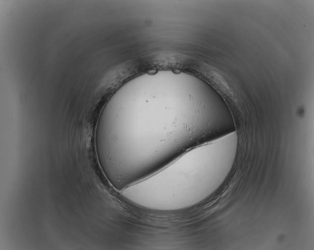 X0000098040458200803280758