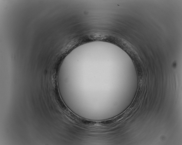 X0000098040460200803280758
