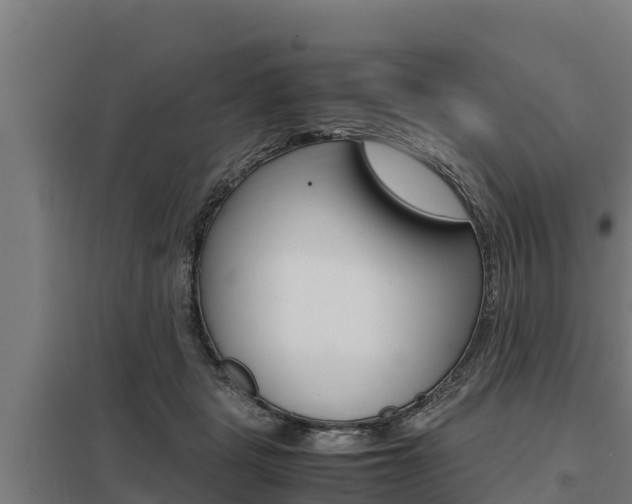 X0000098040461200803280758