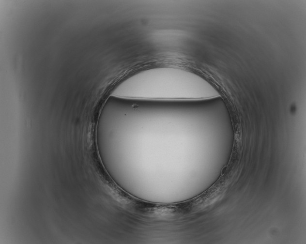 X0000098040462200803280758
