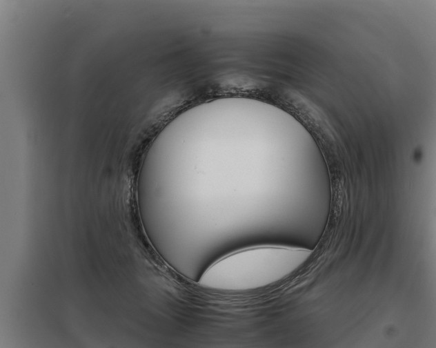 X0000098040463200803280758