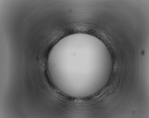 X0000098040464200803280758