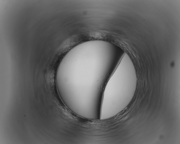 X0000098040466200803280758
