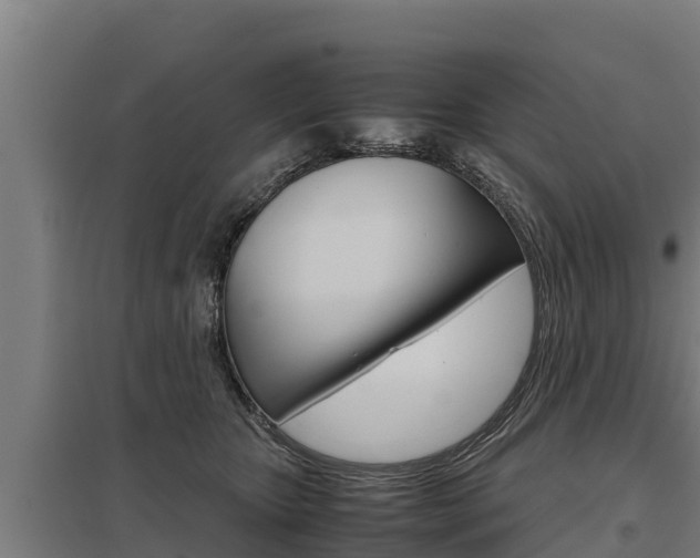 X0000098040467200803280758