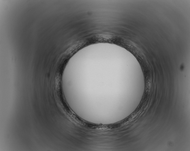 X0000098040468200803280758