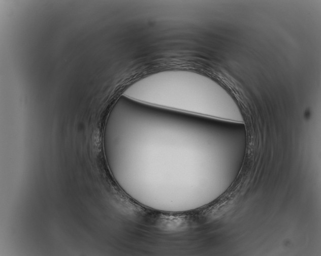 X0000098040469200803280758