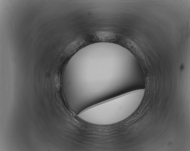 X0000098040471200803280758