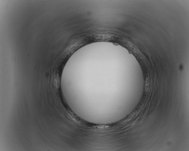 X0000098040474200803280758