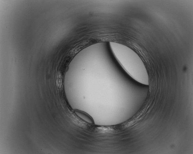 X0000098040477200803280758