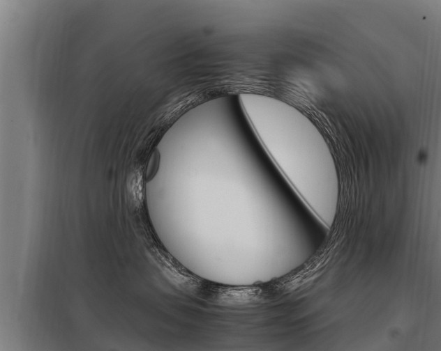 X0000098040479200803280758