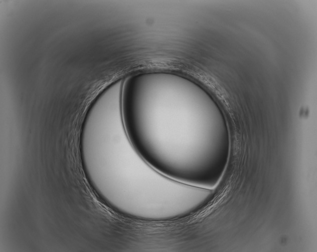 X0000098040481200803280757