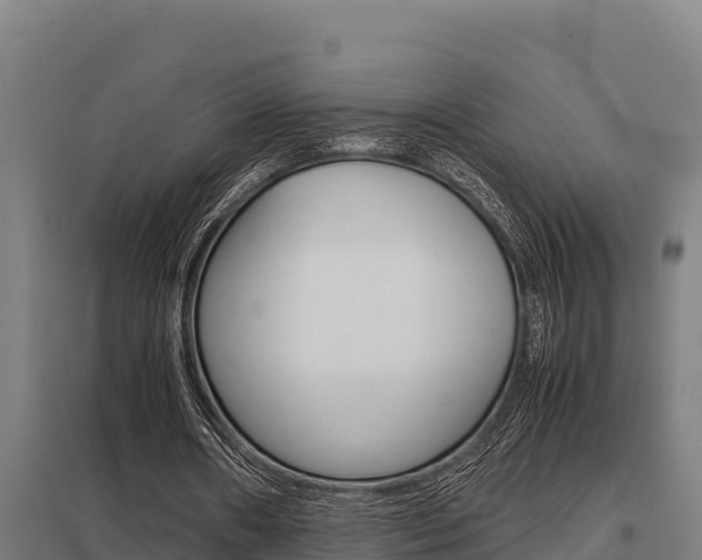 X0000098040482200803280757